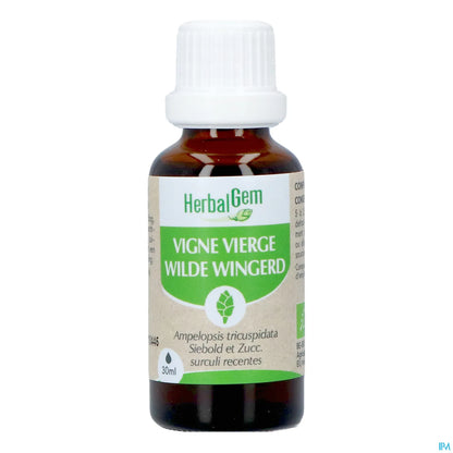 Virginia Creeper Bud Macerate Organic 30 mL