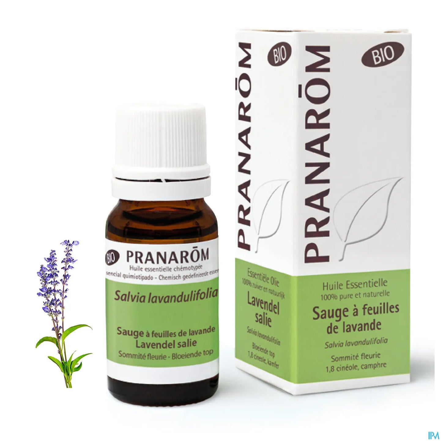 Huile Essentielle Sauge à Feuilles de Lavande 10 mL