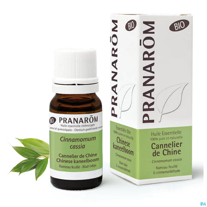 Organic Chinese Cinnamon Essential Oil 10ml