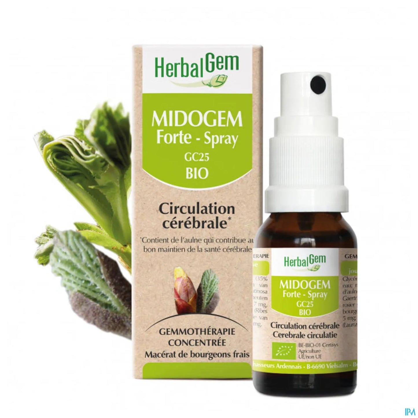 Midogem Forte Spray 15 mL
