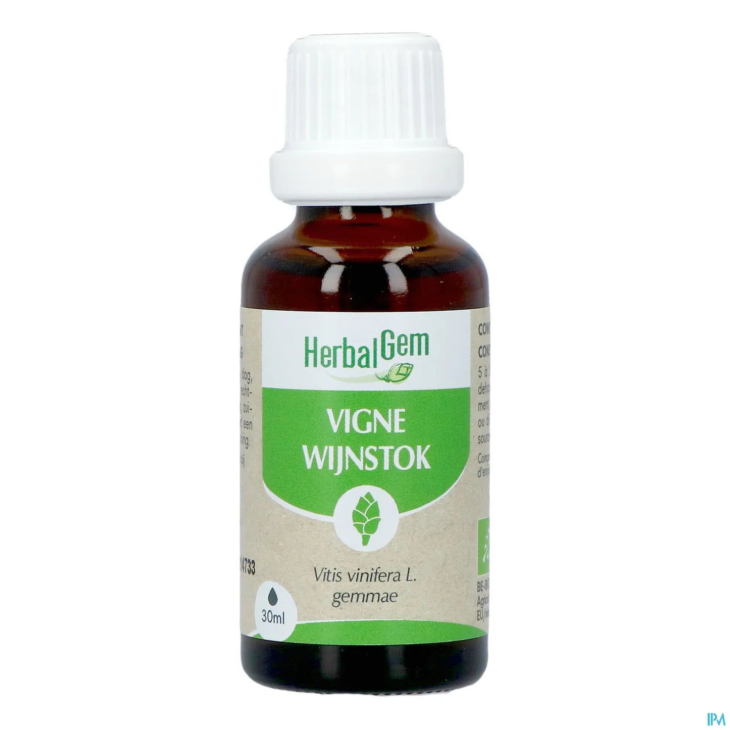 Macerato di vite madre 30 ml