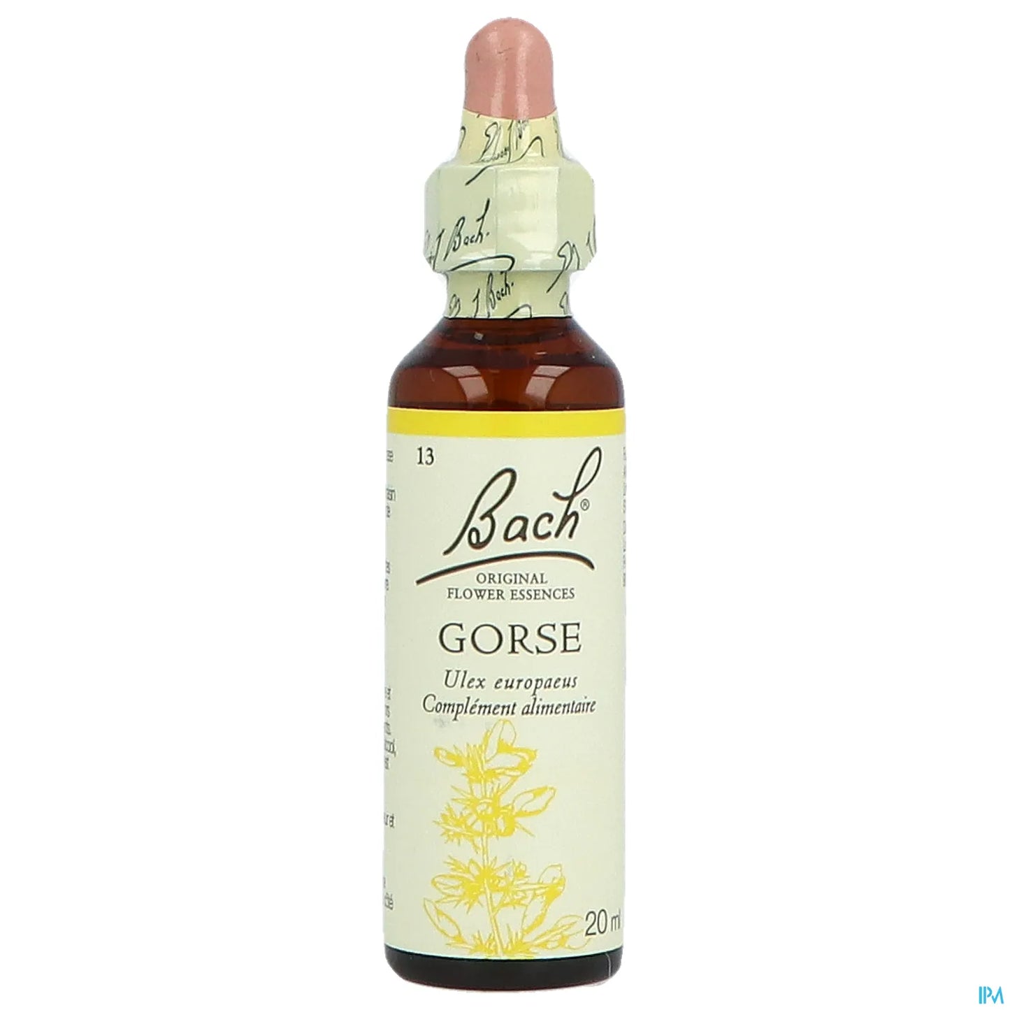 Original Gorse 20ml