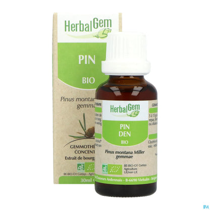 Mountain Pine Bud 30 mL