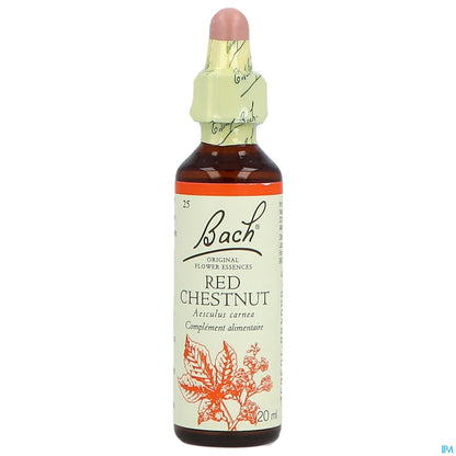 Castagna rossa 20 ml