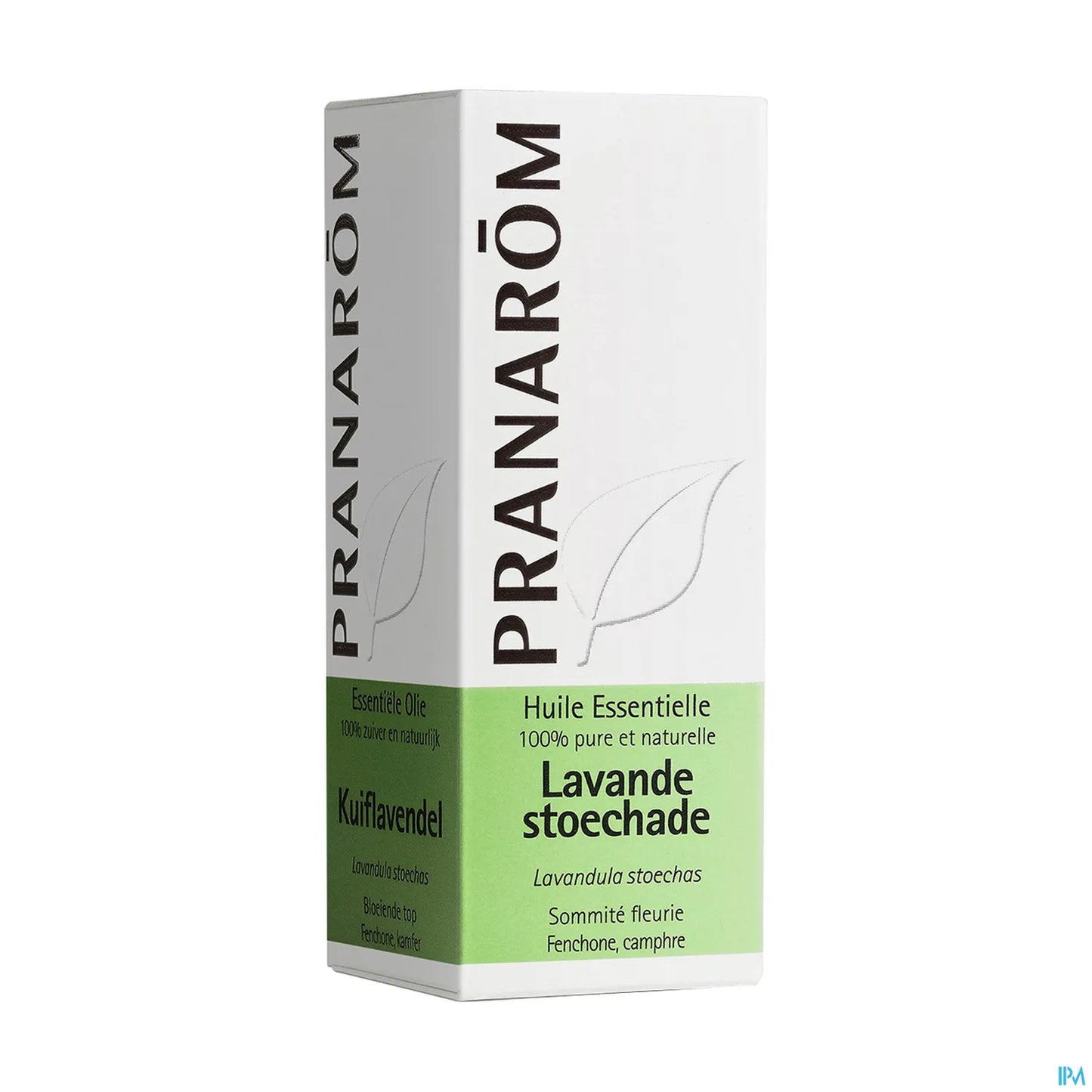Lavender Stoechade Essential Oil 10 mL