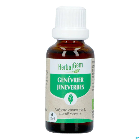 Macérat Mère Genévrier Bio 30 mL