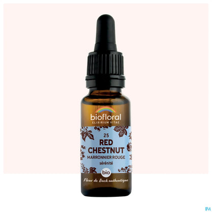 Castagna Rossa 20 mL