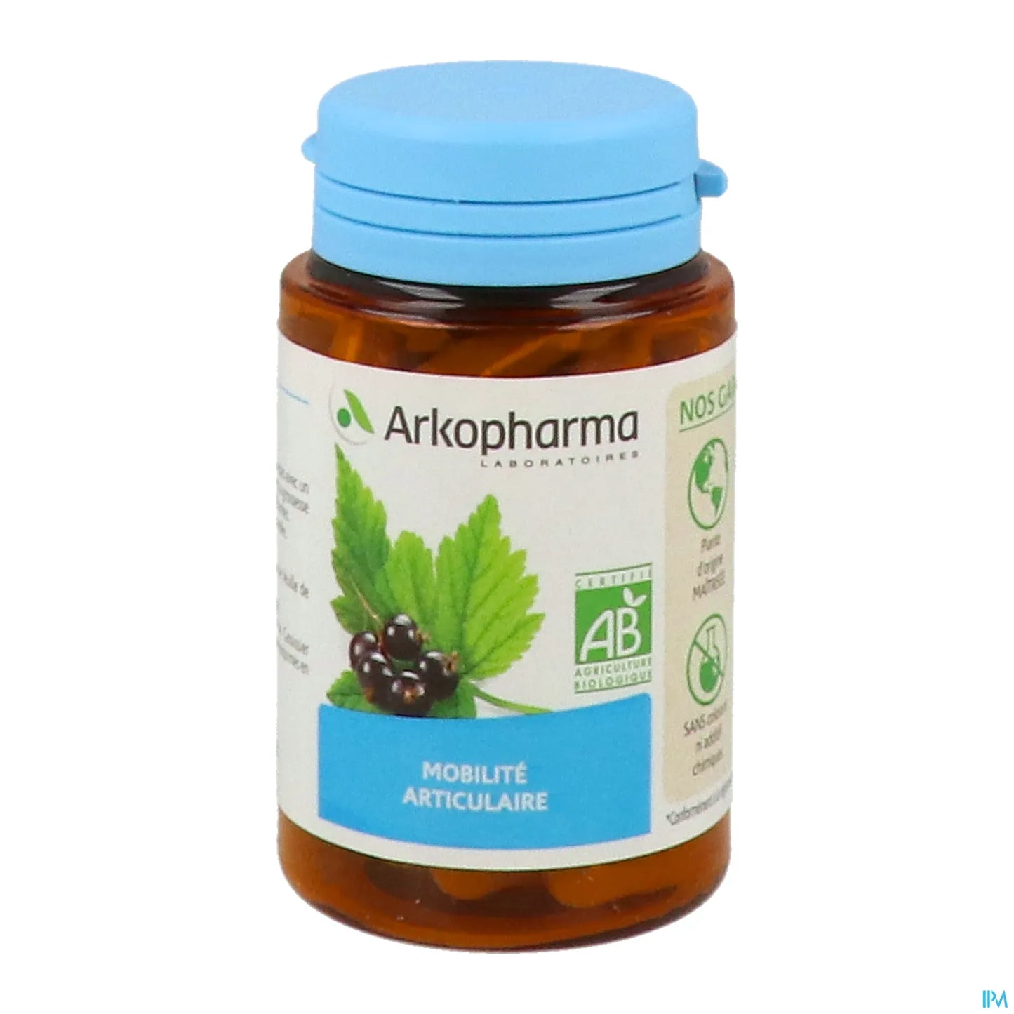 Arkogélules Ribes Nero Biologico 45 Capsule
