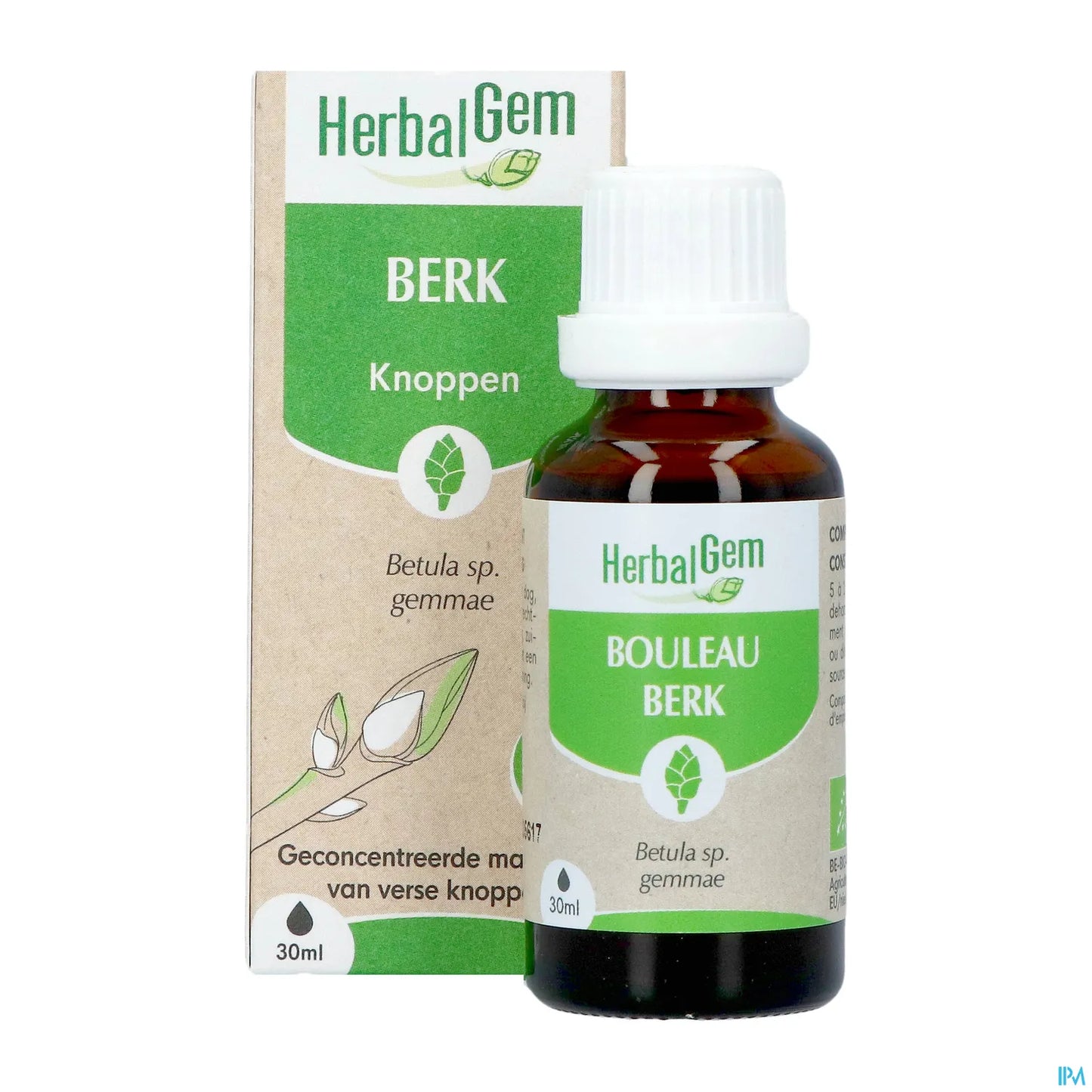 Macérat Mère Bouleau Bio 30 mL