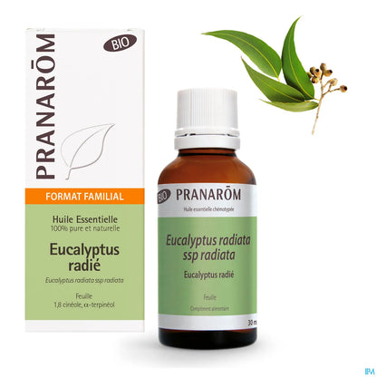 Radiated Eucalyptus Essential Oil 30 mL