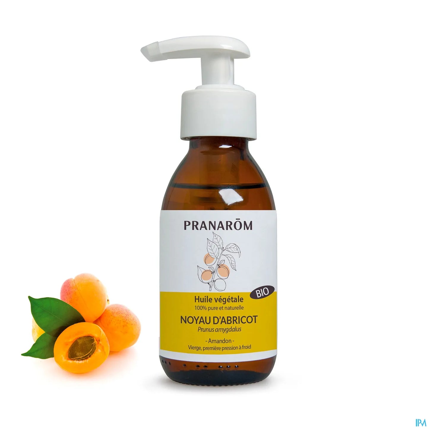 Huile Végétale Noyau d'abricot Bio 100 mL