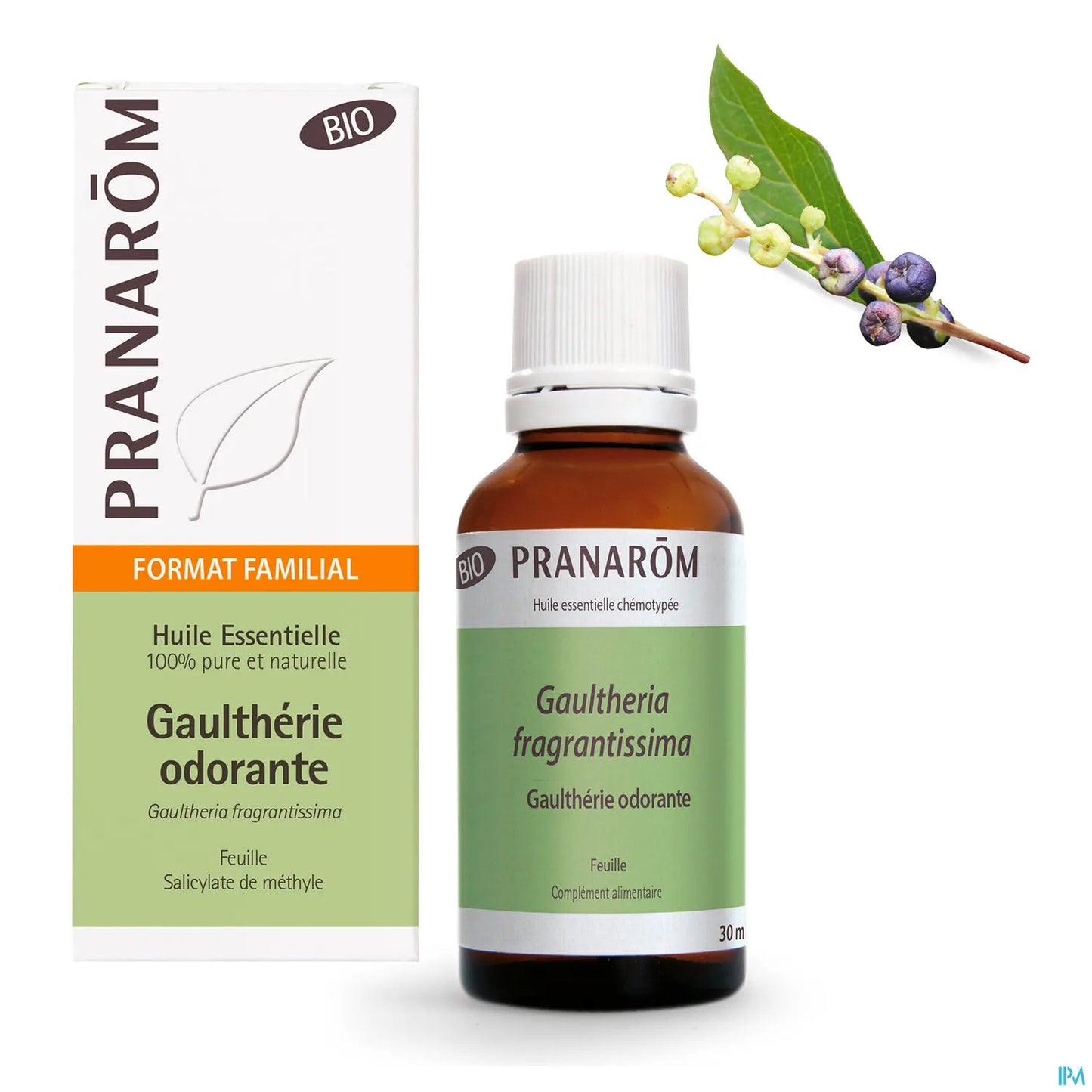 Huile Essentielle Gaulthérie Odorante 30 mL