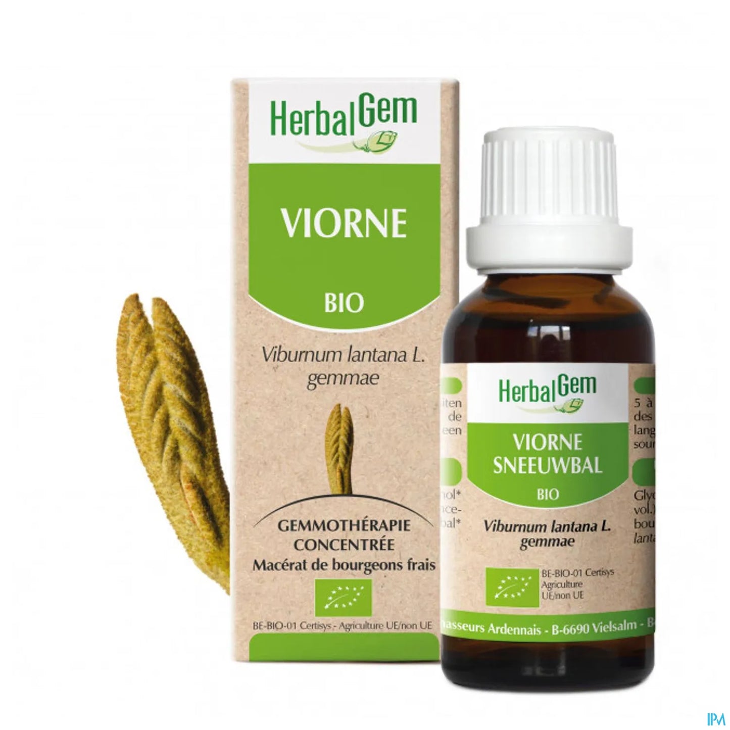 Macérat Mère Viorne Bio 30 mL