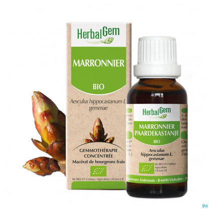 Organic Chestnut Bud 30 mL