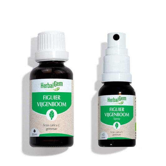 Duo Figuier 30 mL + 15 mL