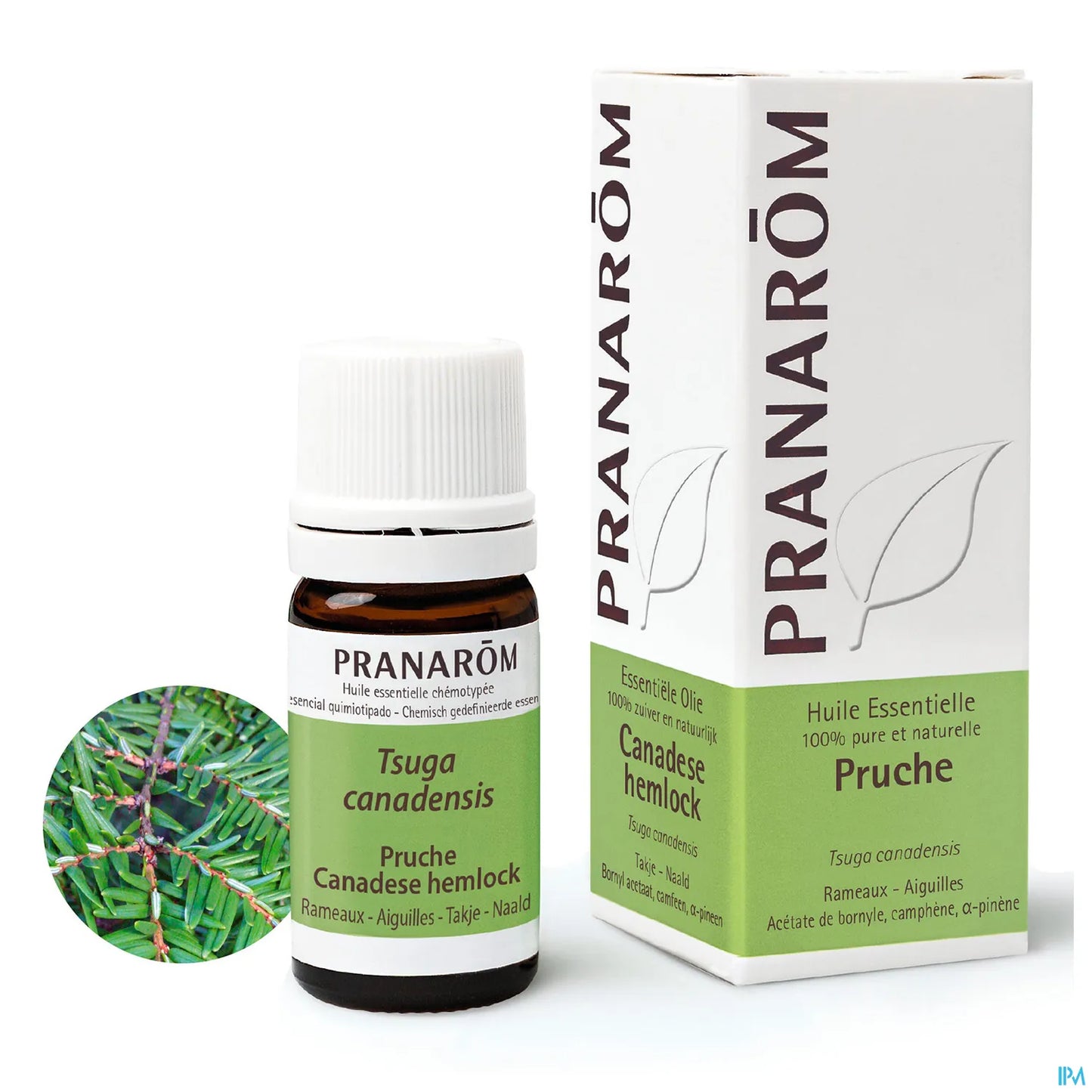 Hemlock Essential Oil 5ml