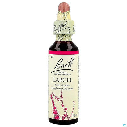 Original No. 19 Larch 20ml