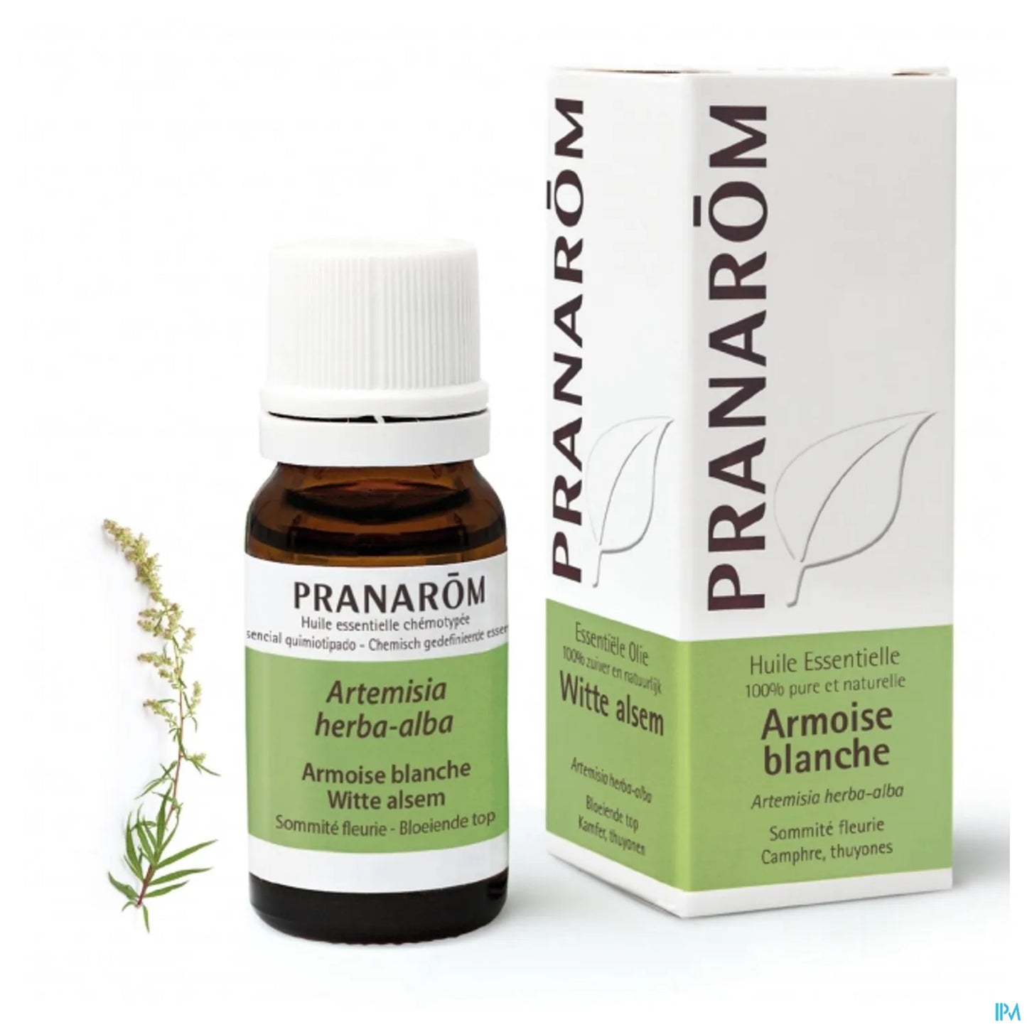 Huile Essentielle Armoise Blanche 10 mL