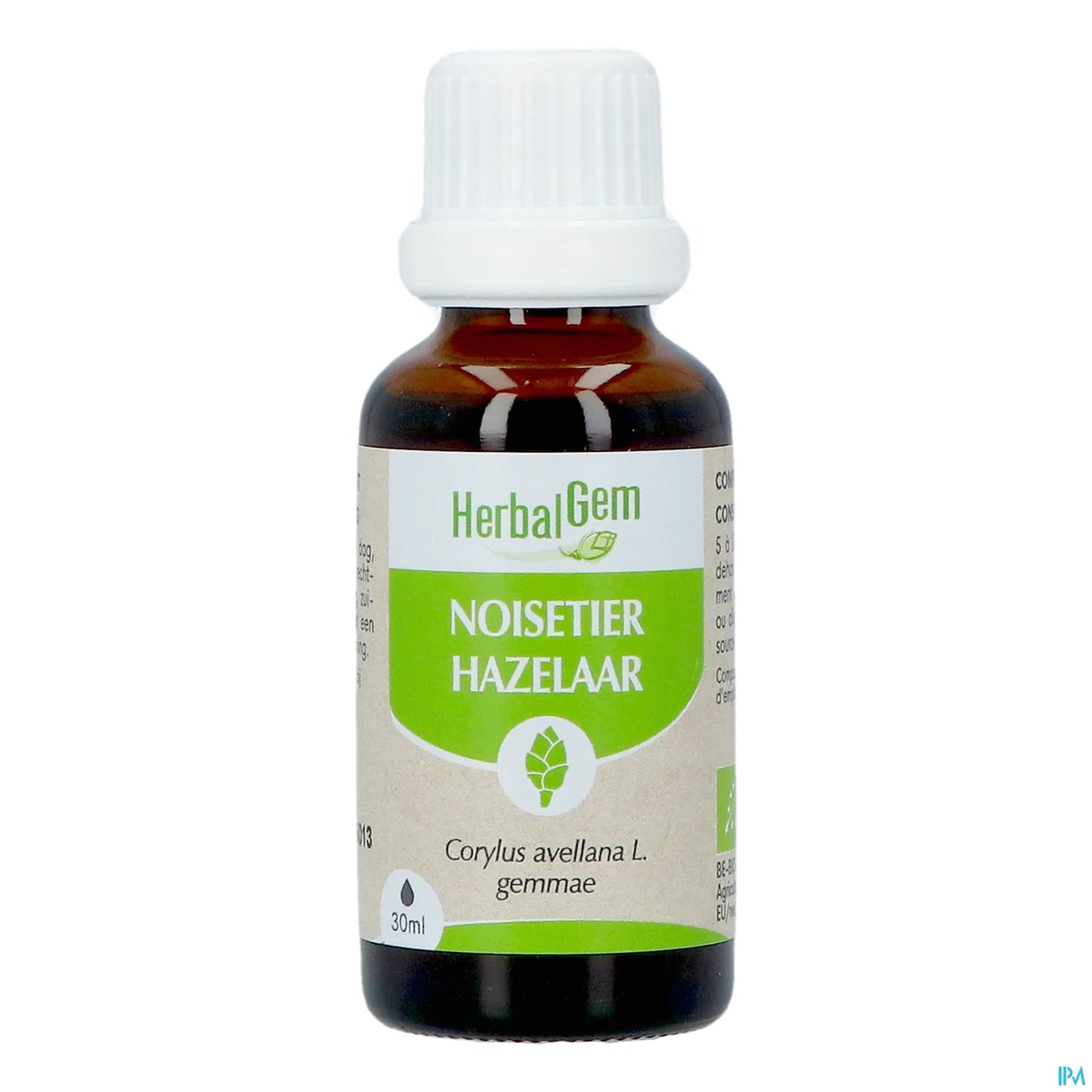 Organic Hazelnut Bud Macerate 30 mL