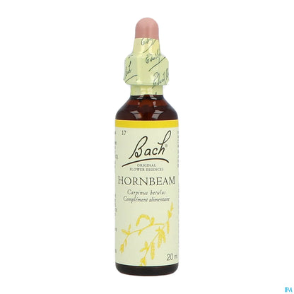 Hornbeam 20ml