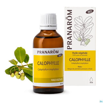 Olio vegetale di Calophyllum biologico 50 ml