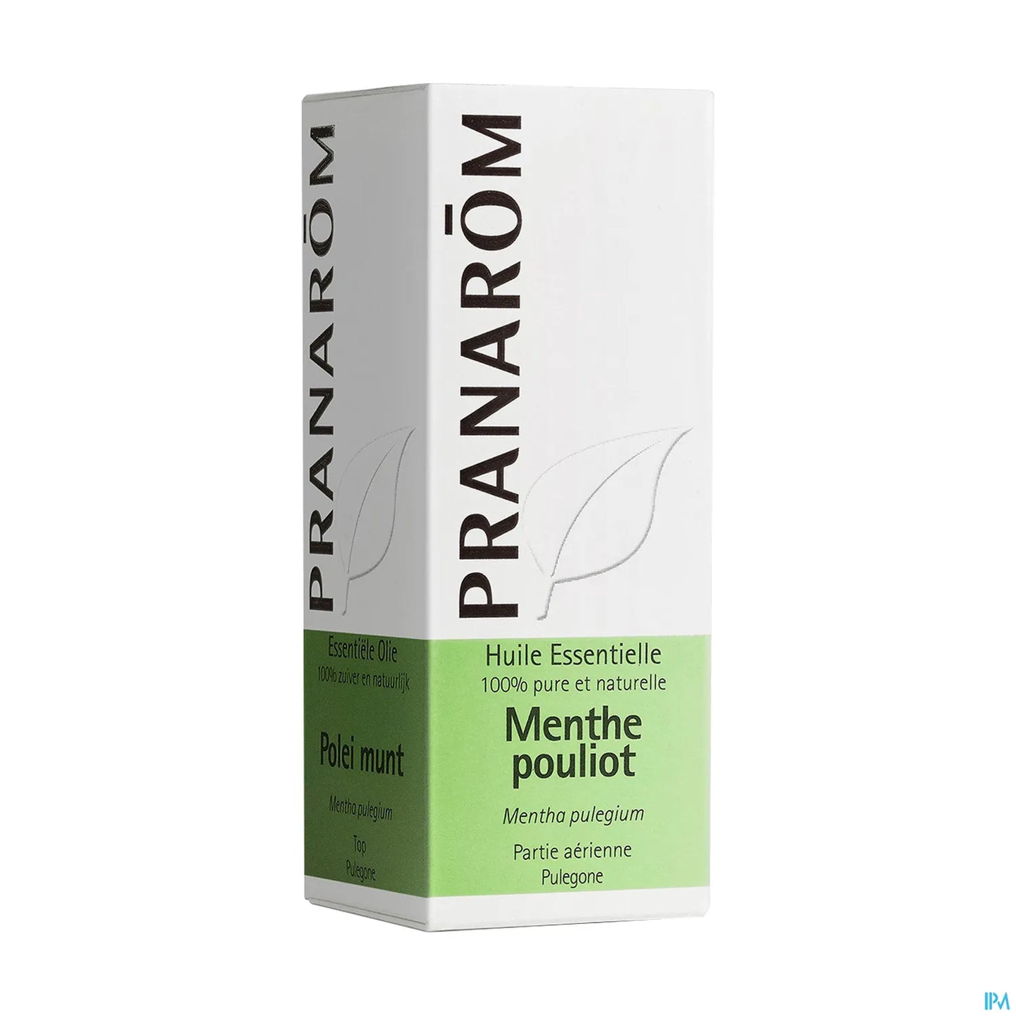 Olio essenziale di menta mentuccia 10 ml