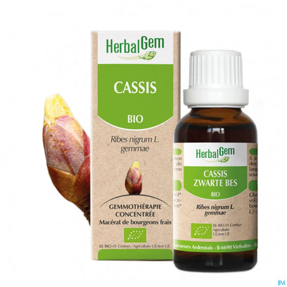 Macérât Mère Cassis Bio 30 mL