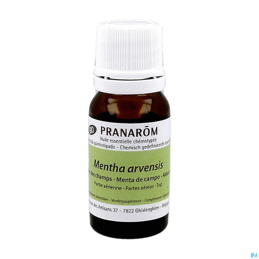 Field Mint Essential Oil 10 mL