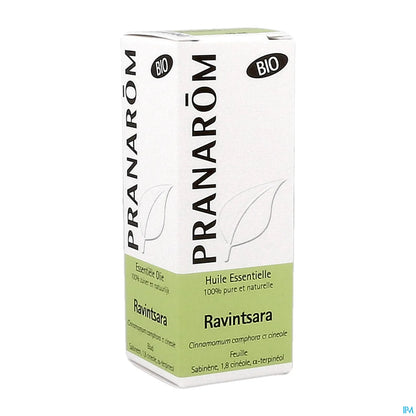 Organic Ravintsara Leaf Essential Oil 10ml