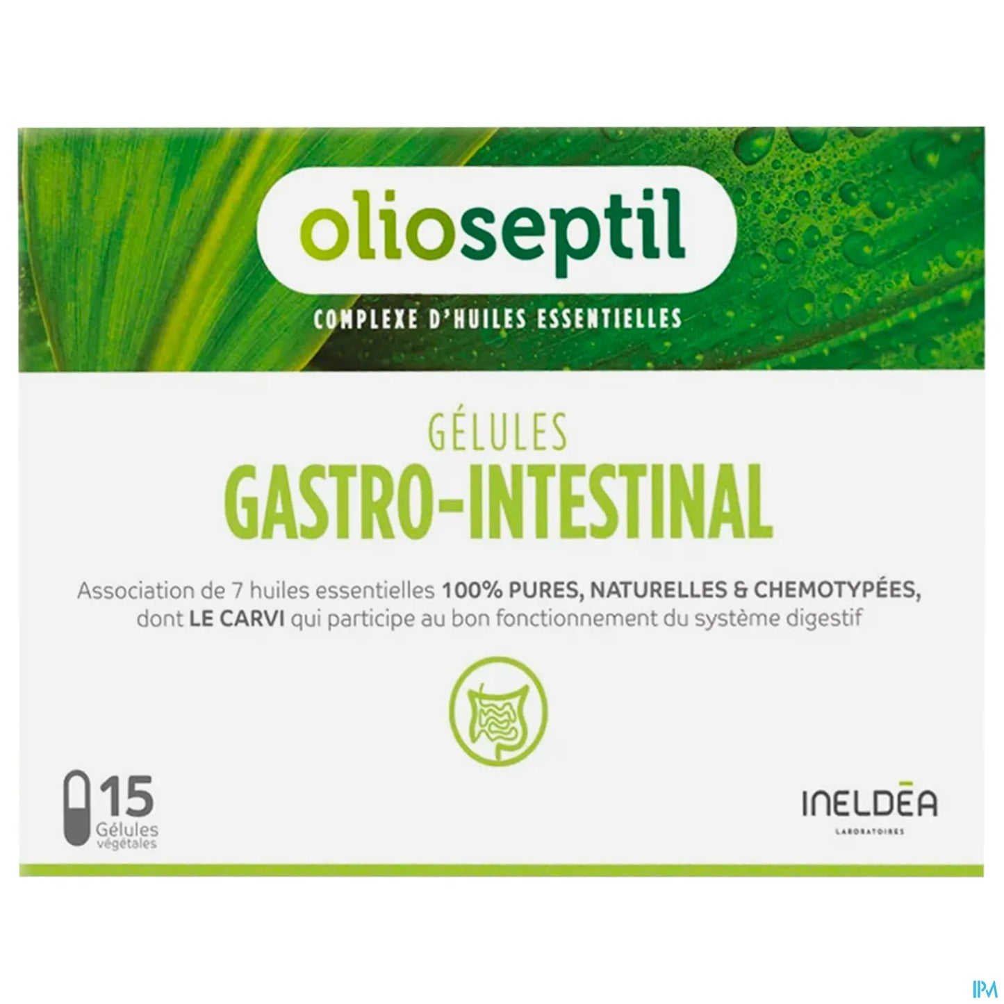Gastro Gelu 15