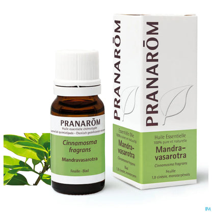 Mandravasarotra Huile Essentielle 10 mL