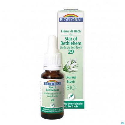 Star of Bethlehem Bach Flower 20 mL