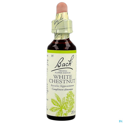 White Chestnut 20mL