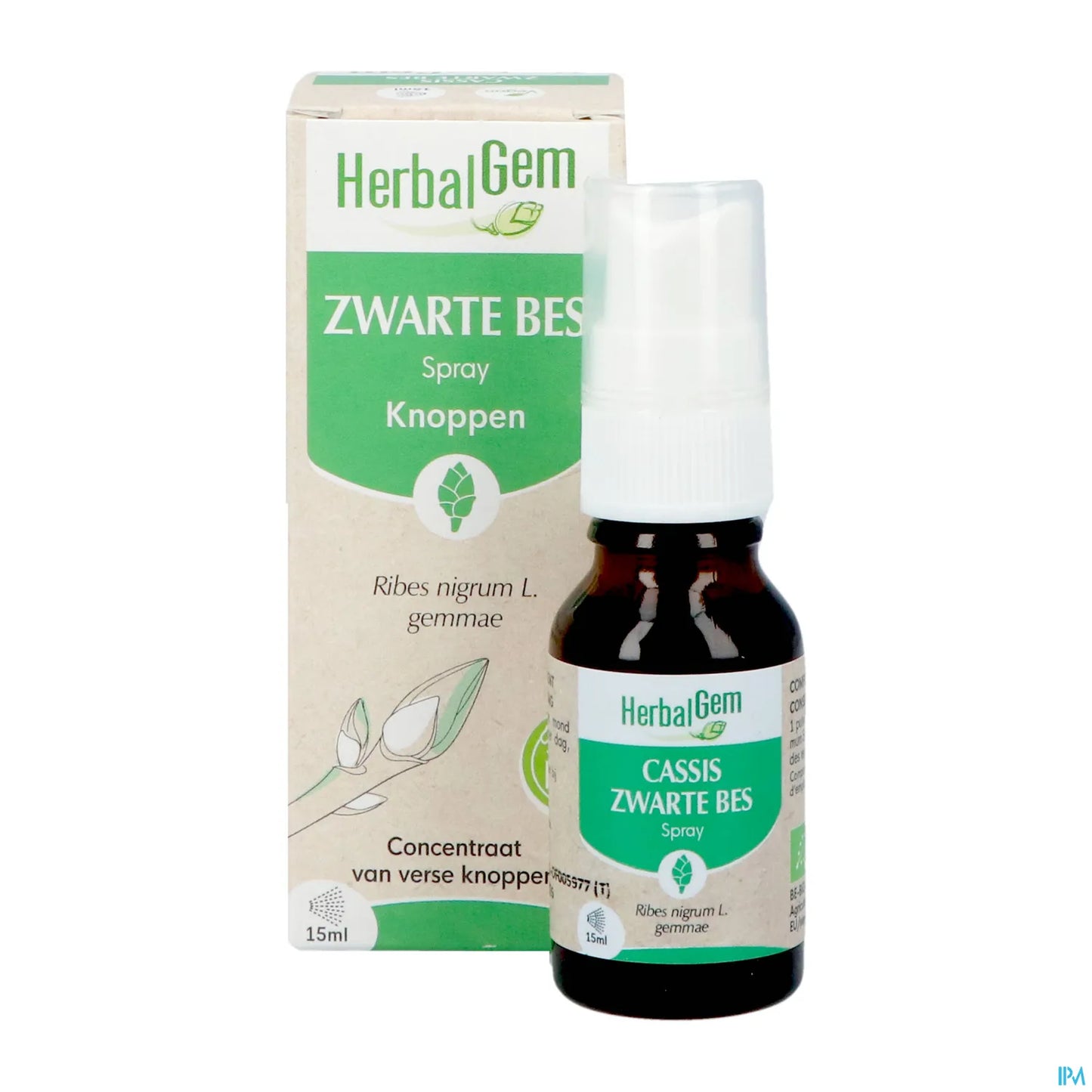 Spray di ribes nero biologico 15 ml
