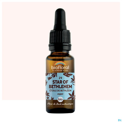 Star of Bethlehem Bach Flower 20 mL