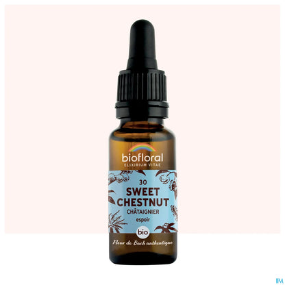 Châtaignier Fleur de Bach 20 mL