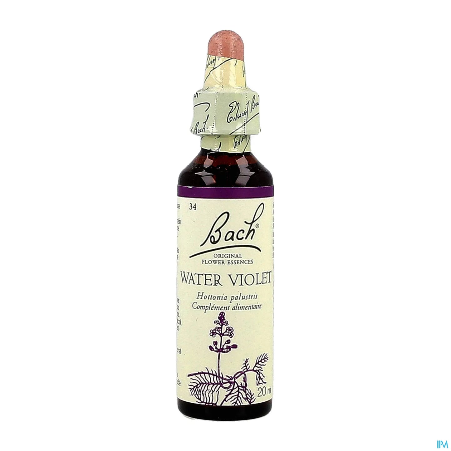 N. 34 Viola Acqua 20ml