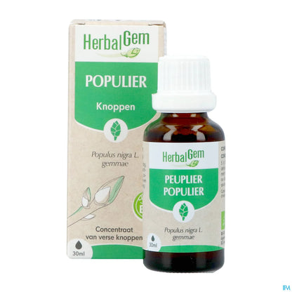 Organic Poplar Bud Macerate 30 mL