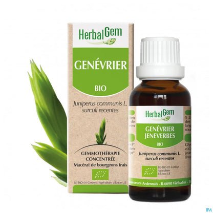 Macerato madre di ginepro biologico 30 ml