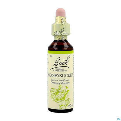 Honeysuckle 20ml