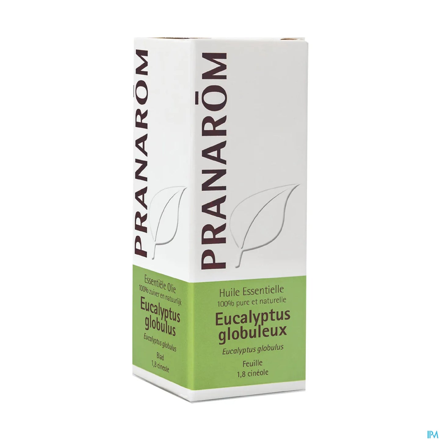 Eucalyptus Globulus Essential Oil 10 mL