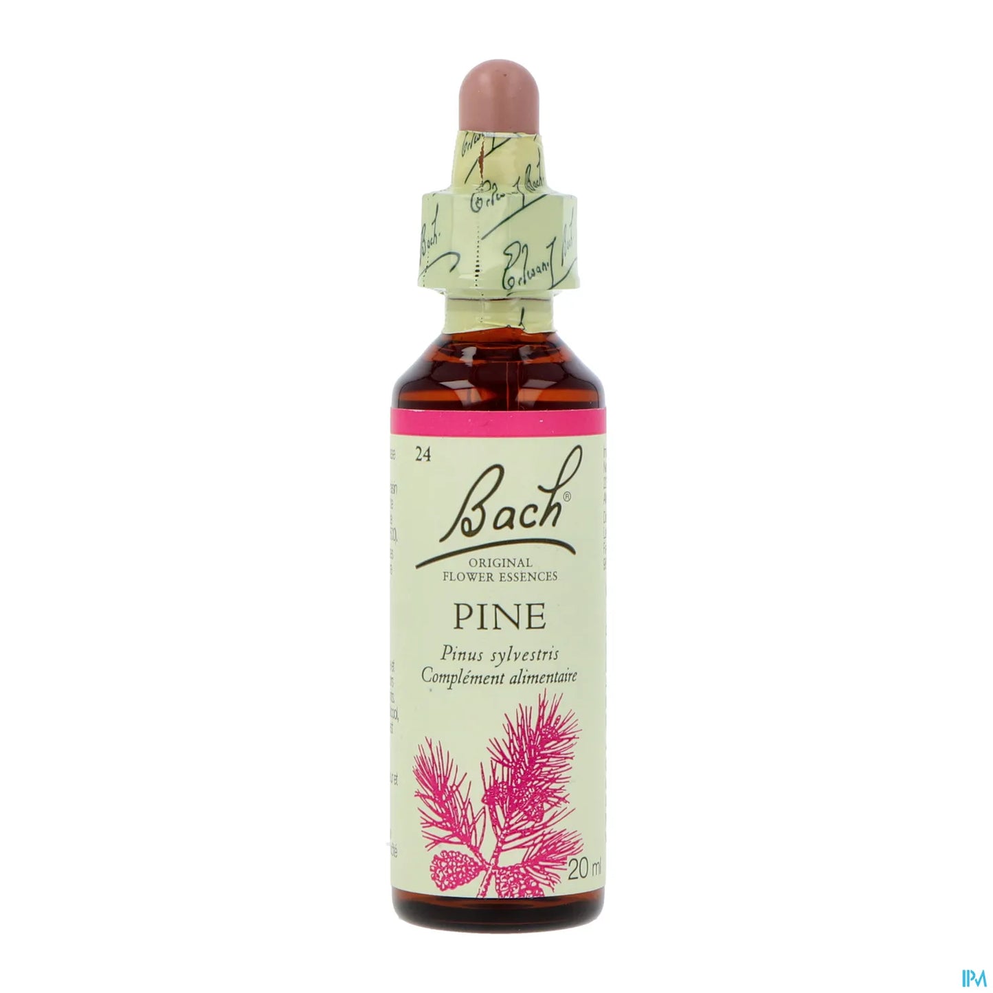 Pino - 20 ml