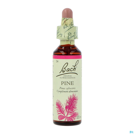 Pino - 20 ml
