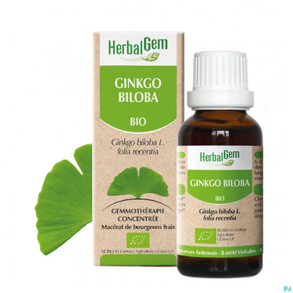 Macerato madre di Ginkgo Biloba biologico 30 ml