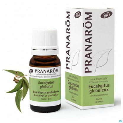 Organic Eucalyptus Globulus Essential Oil 10ml