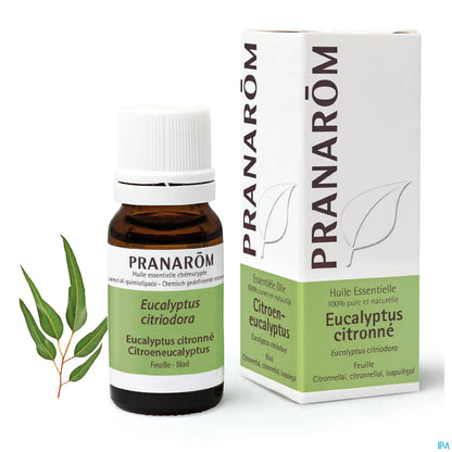 Lemon Eucalyptus Essential Oil 10 mL