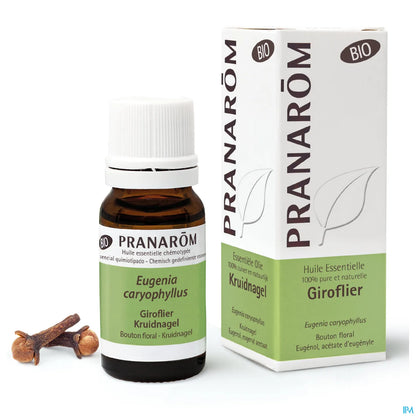 Olio essenziale di chiodi di garofano biologico 10 ml