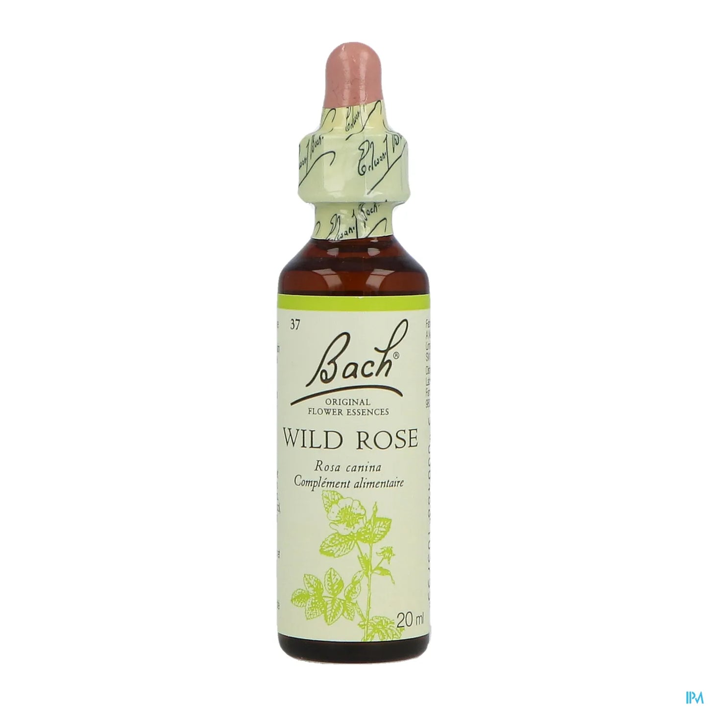 Rosa selvatica n. 37 20 ml