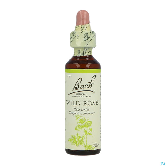 Rosa selvatica n. 37 20 ml