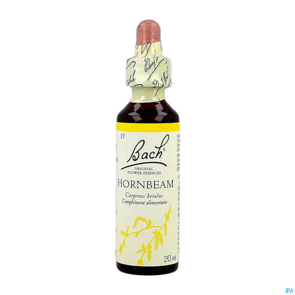 Hornbeam 20ml